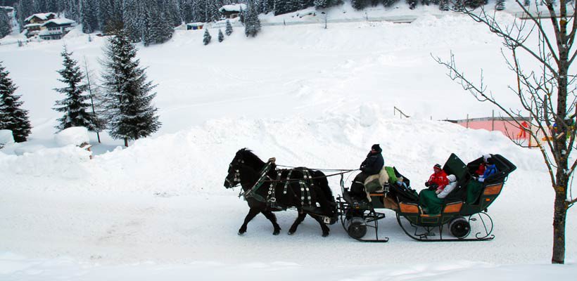 pferdeschlitten-fahrten-rund-um-dem-zauchensee-im-skiparadies-zauchensee